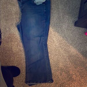 Lane Bryant Jean
